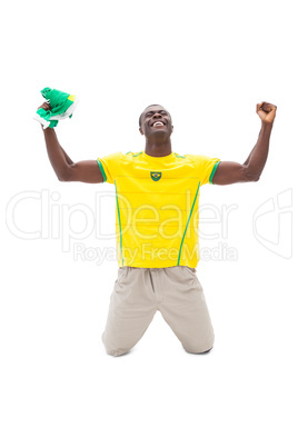 Excited brazilian football fan cheering on his knees