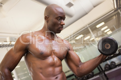 Muscular man exercising with dumbbell in gym