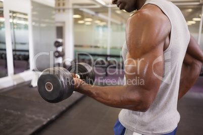 Muscular man exercising with dumbbell in gym