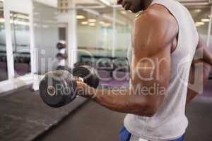 Muscular man exercising with dumbbell in gym