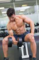 Muscular man exercising with dumbbell in gym