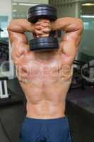 Rear view of a shirtless muscular man exercising with dumbbell