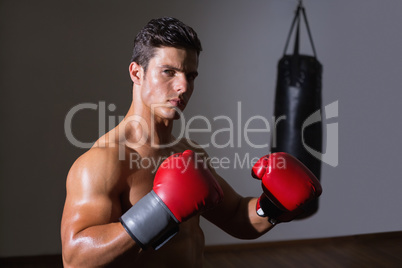 Serious muscular boxer in health club