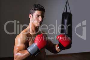 Serious muscular boxer in health club