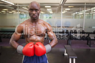 Muscular boxer in health club