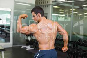 Rear view of a muscular man flexing muscles