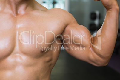 Mid section of muscular man flexing muscles