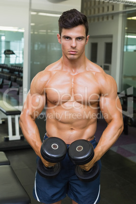 Shirtless muscular man flexing muscles with dumbbells in gym