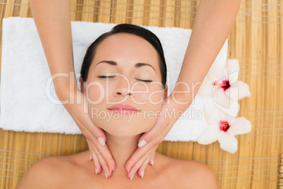 Peaceful brunette enjoying a facial massage