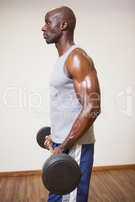 Muscular man lifting barbell in gym