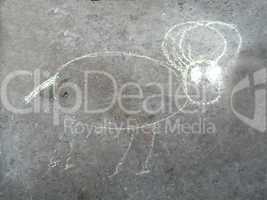 chalk drawing animal