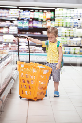 Little boy with big shopping cart in the store