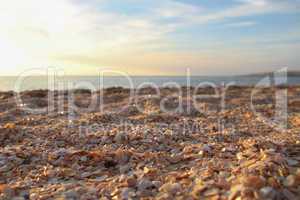 Shelly beach tourism background