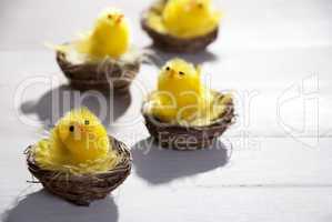 Yellow Chicks In Easter Basket Or Nest