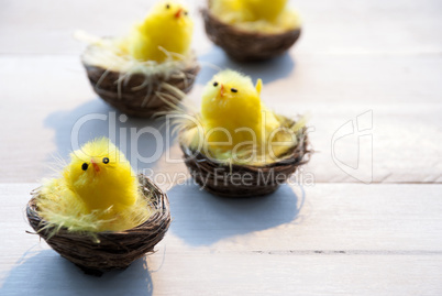 Four Chicks In Easter Baskets With Yellow Feathers