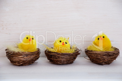 Three Chicks In Baskets With Copy Space