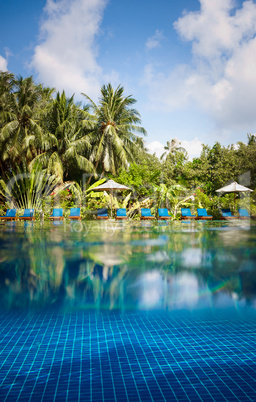 Tropical swimming pool