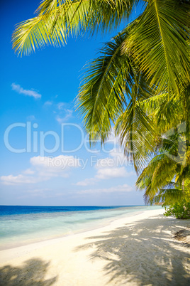 Maldives beach