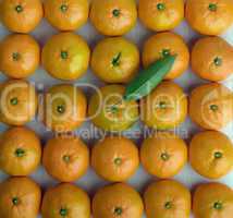 tangerines stacked