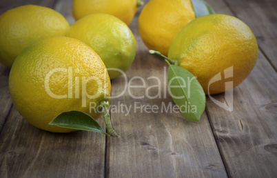 lemons with leafs