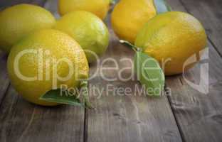 lemons with leafs