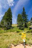 Wegweiser an einem Wanderweg