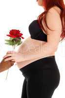 Pregnant woman gets rose.