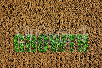 Newly prepared soil with images of new grass in the word growth