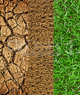 Cracked earth, prepared soil and newly sown grass