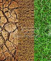 Cracked earth, prepared soil and newly sown grass