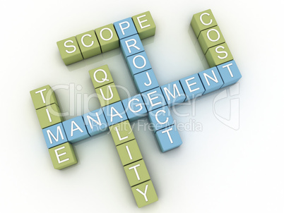 3d image project management  issues concept word cloud backgroun