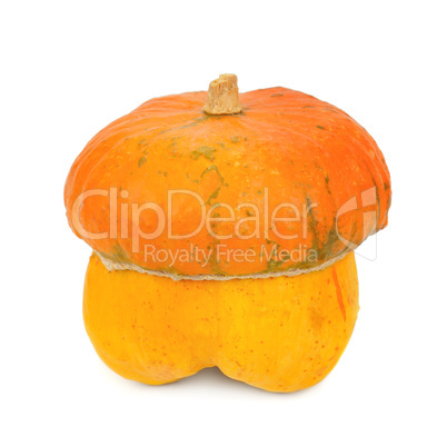 ripe pumpkin isolated on white background