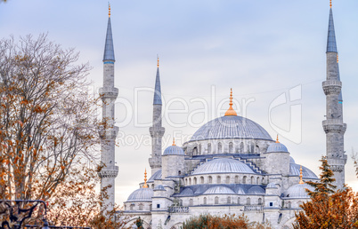 The Blue Mosque - Istanbul, Turkey