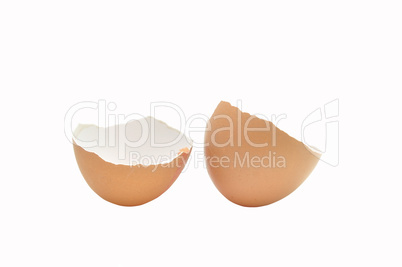 eggshells