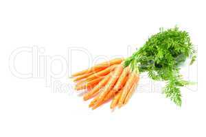 Fresh carrots