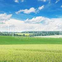 picturesque green field and blue sky