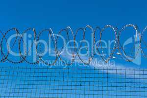 Wired Fence with Spiral Barbwire