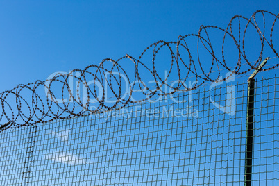 Wired Fence with Spiral Barbwire