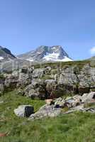 Schaufelspitze