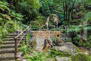 Hot-Spring Pool in Tropical Forest