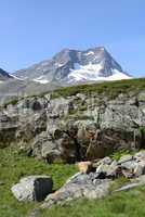 Schaufelspitze