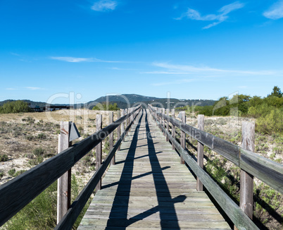 Walking on Wooden Walkway in the Sand Dunes