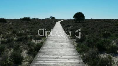 POV Walking on Wooden Walkway in the Sand Dunes, Portugal