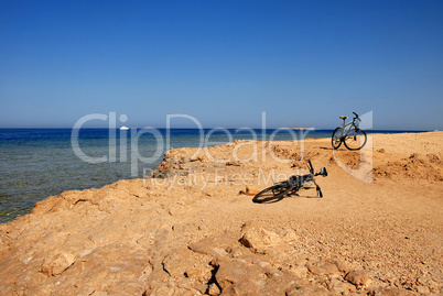 Two bicycles on the seaside