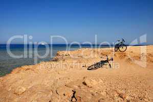 Two bicycles on the seaside