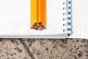 Note book and pencils