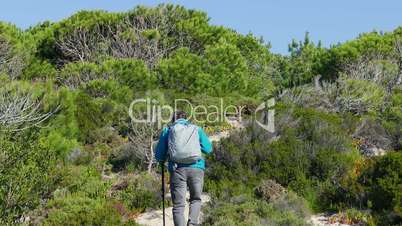 A Man with Backpack Walking on Forest Trail, view from the back
