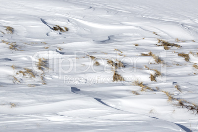 Closeup of snowdrift and grass