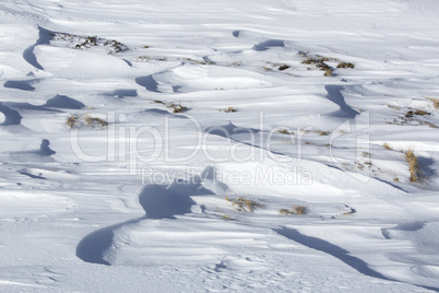 Closeup of snowdrift and grass