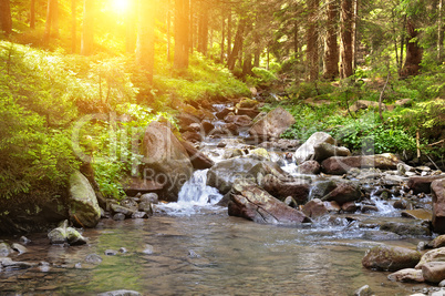 river, forest and sun river, forest and sun
